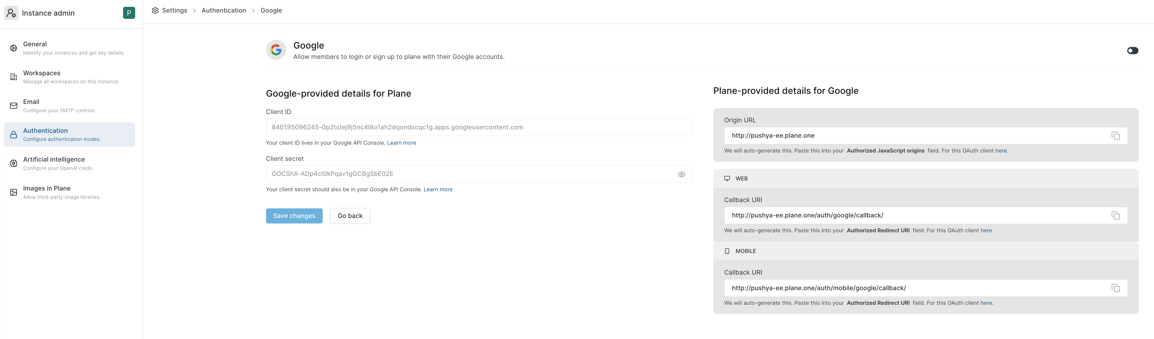 Google Oauth Configuration